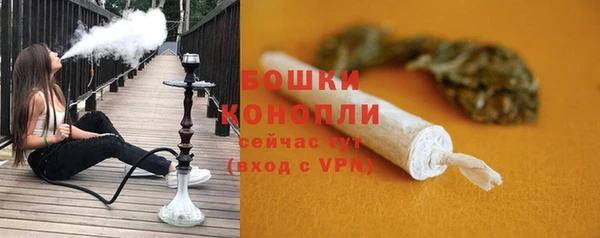 СК Вяземский
