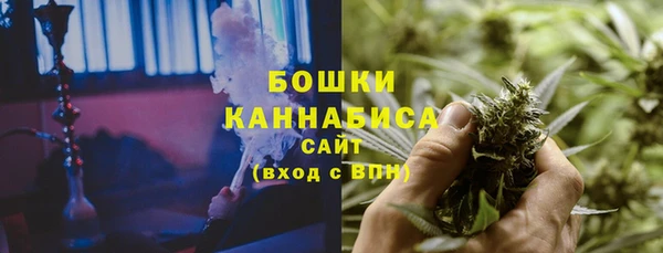 шишки Вязники