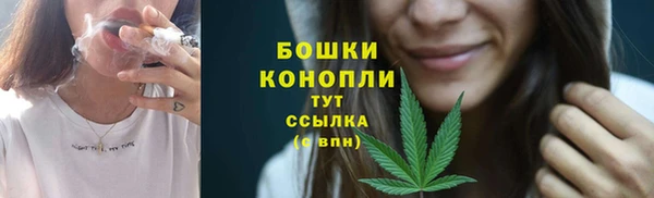 соль ск Вязьма