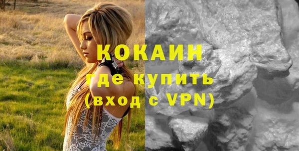 шишки Вязники