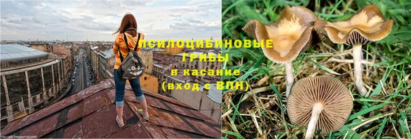 соль ск Вязьма
