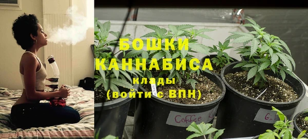 соль ск Вязьма