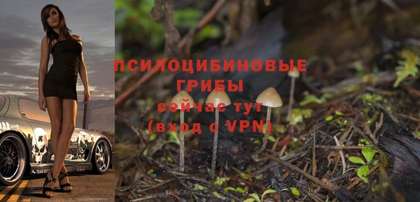 шишки Вязники