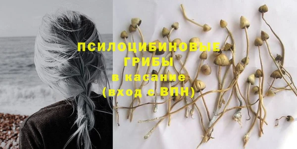 соль ск Вязьма