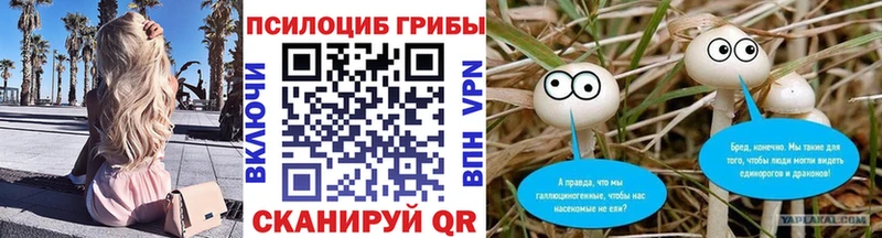 Галлюциногенные грибы мицелий  Купить  Кувшиново 